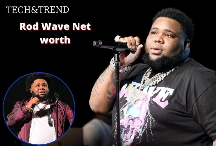 Rod Wave net worth showcased in a live concert performance.