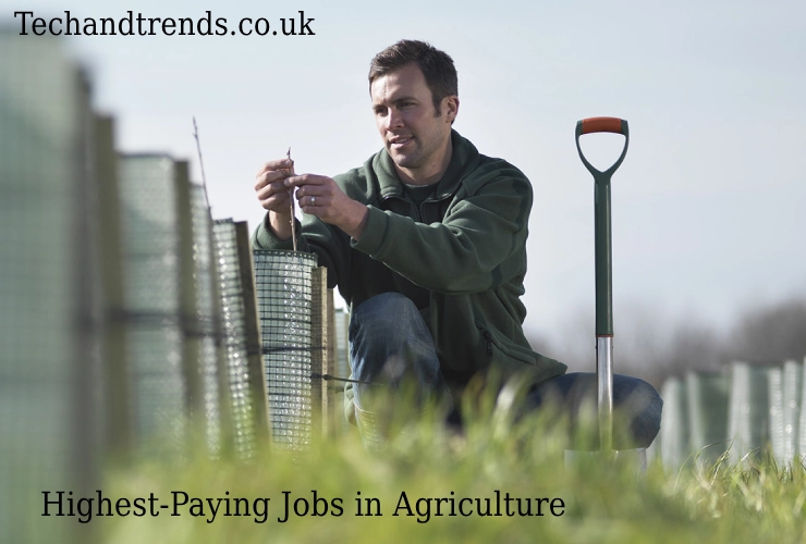 Understanding Agricultural Business Salary trends